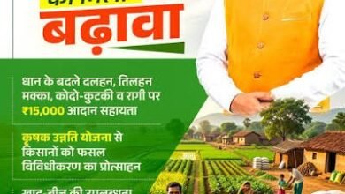 विशेष लेख : आधुनिक और नगदी फसलों की खेती ने बदली छत्तीसगढ़ के किसानों की तकदीर