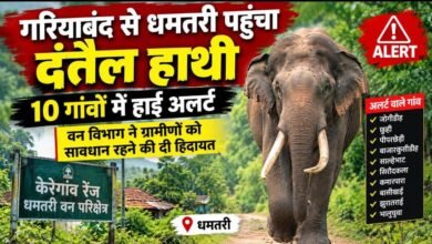 CG News : गरियाबंद से धमतरी पहुंचा दंतैल हाथी, 10 गांवों में हाई अलर्ट