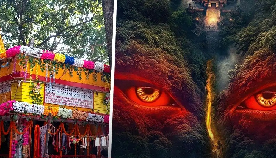 न मूर्ति, न रात में किसी की एंट्री क्या है बिहार के वन देवी मंदिर का रहस्य? न मूर्ति, न रात में किसी की एंट्री क्या है बिहार के वन देवी मंदिर का रहस्य?