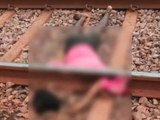 जल संरक्षण में छत्तीसगढ़ देश में अव्वल, 5 जिले टॉप-10 में शामिल; कोरिया का 5% मॉडल बना मिसाल