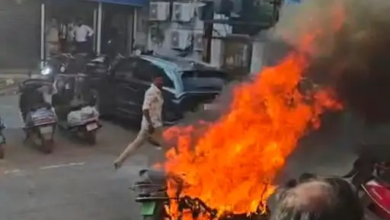 खड़ी ई-स्कूटर में अचानक लगी आग, धुआं निकलने के बाद तेज हुई लपटें; वाहन जलकर खाक
