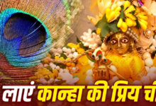 जन्माष्टमी से पहले घर ले आएं कान्हा की ये 5 प्रिय चीजें, खूब बरसेगी मां लक्ष्मी की कृपा!