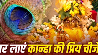 जन्माष्टमी से पहले घर ले आएं कान्हा की ये 5 प्रिय चीजें, खूब बरसेगी मां लक्ष्मी की कृपा!