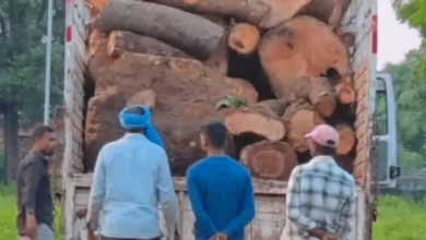 नाइट पेट्रोलिंग में लकड़ी से भरा माजदा पकड़ा, आम-जामुन और महुआ के लट्ठे बरामद नाइट पेट्रोलिंग में लकड़ी से भरा माजदा पकड़ा, आम-जामुन और महुआ के लट्ठे बरामद