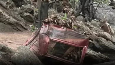 झीरम नक्सली हमले के 10 दोषियों को फांसी की सजा, हाईकोर्ट के आदेश के बाद होगा फैसला लागू