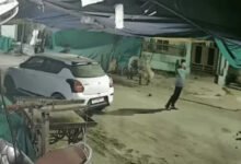 बिलासपुर हिंसा में 20 आरोपी गिरफ्तार, मास्टरमाइंड सोहेल का कट्टा लहराते वीडियो सामने आया; पुलिस ने हथियार किए बरामद