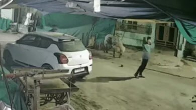 बिलासपुर हिंसा में 20 आरोपी गिरफ्तार, मास्टरमाइंड सोहेल का कट्टा लहराते वीडियो सामने आया; पुलिस ने हथियार किए बरामद