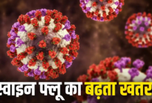 महाराष्ट्र: गणेशोत्सव से पहले बढ़ी चिंता! पिंपरी-चिंचवड़ में स्वाइन फ्लू के 37 मामले