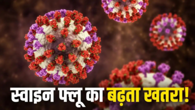 महाराष्ट्र: गणेशोत्सव से पहले बढ़ी चिंता! पिंपरी-चिंचवड़ में स्वाइन फ्लू के 37 मामले