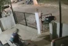 आंगन में टहल रही थी बुजुर्ग महिला, बंदर ने एक झटके में ले ली जान… Video