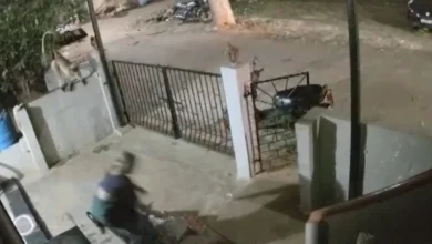आंगन में टहल रही थी बुजुर्ग महिला, बंदर ने एक झटके में ले ली जान… Video
