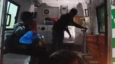 कोरबा में हाइड्रा ने बाइक सवार परिवार को मारी टक्कर, 3 साल की बच्ची की मौत; 3 गंभीर