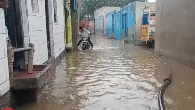 अलवर-धौलपुर समेत 3 जिलों में बारिश:भरतपुर में एक इंच से ज्यादा पानी बरसा; राजस्थान में कल से तेज बरसात का अलर्ट