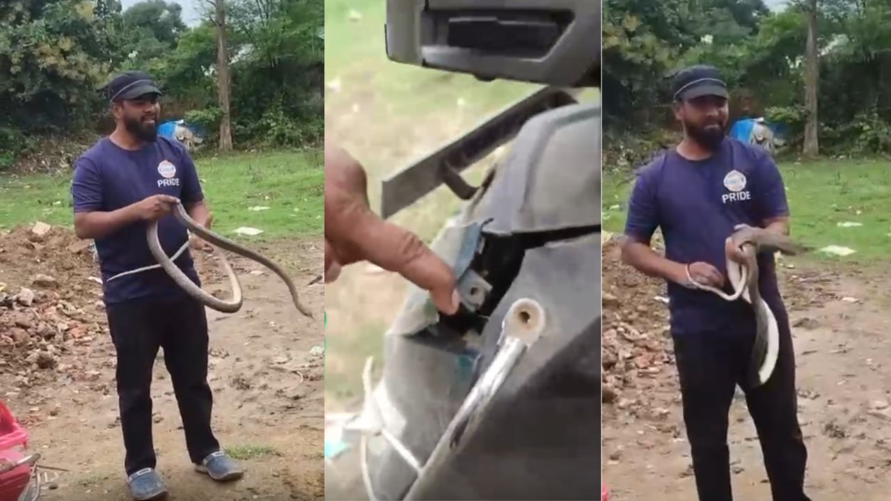 ‘हैंडल से लटक रही थी पूंछ…’ रीवा में स्कूटी चालू करने से पहले देखा तो उड़ गए होश, निकला 8 फीट लंबा सांप