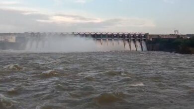 जबलपुर: बरगी बांध का जलस्तर क्षमता से ऊपर, 17 गेट खोलकर की जा रही पानी की निकासी, प्रशासन ने जारी किया अलर्ट