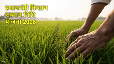PM Kisan Yojana: क्या प्रधानमंत्री किसान सम्मान निधि योजना की 24वीं किस्त अक्टूबर में जारी होगी…जानिए क्या है अपडेट