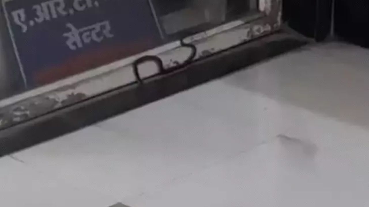 इंदौर के MY अस्पताल की न्यू OPD में घुसा सांप, सुबह-सुबह मचा हड़कंप इंदौर के MY अस्पताल की न्यू OPD में घुसा सांप, सुबह-सुबह मचा हड़कंप