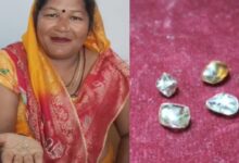 पन्ना में महिला की चमकी किस्मत, खुदाई के दौरान मिले चार बेशकीमती हीरे, परिवार में खुशी का माहौल