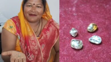 पन्ना में महिला की चमकी किस्मत, खुदाई के दौरान मिले चार बेशकीमती हीरे, परिवार में खुशी का माहौल