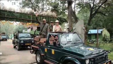 बांधवगढ़ टाइगर रिजर्व के गेट खुले, तीन महीने बाद शुरू हुई जंगल सफारी, देश-विदेश से पहुंचे पर्यटक