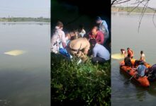 तेज रफ्तार बोलेरो 40 फीट नीचे नदी में गिरी, बचाव दल ने रस्सी के सहारे पांचों लोगों को सुरक्षित निकाला