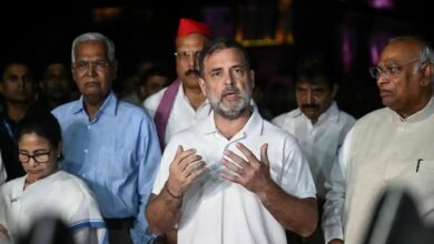 ‘राष्ट्रपति ने सबूत मांगे, आरोप खारिज नहीं किए’, मुलाकात के बाद बोले राहुल गांधी, सोमवार को सुप्रीम कोर्ट जाएगा विपक्ष