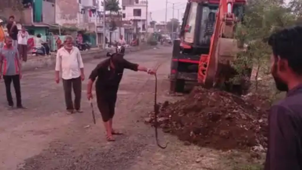 सागर में 5 फीट लंबे कोबरा का रेस्क्यू, बिल से निकालने के लिए बुलानी पड़ी JCB