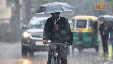 MP Weather: आज से 4 दिन बादल-बारिश का दौर, ग्वालियर-चंबल संभाग में ज्यादा प्रभाव, जानिए भोपाल-इंदौर के मौसम का भी हाल