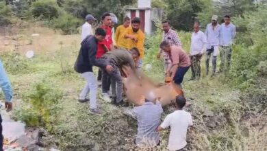 उज्जैन में भीषण सड़क हादसा, बाइक सवार को बचाने के चक्कर में खाई में गिरी यात्री बस, दो लोगों की मौत और कई घायल