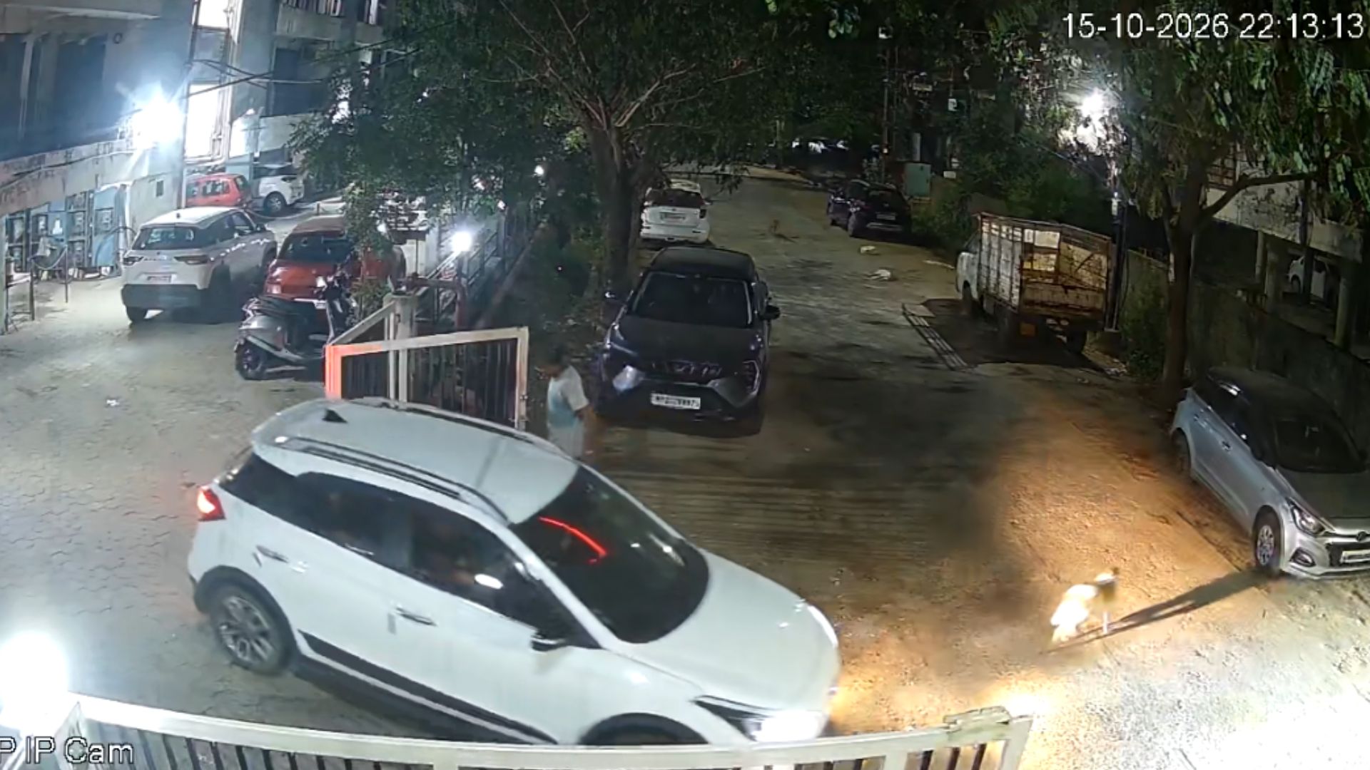 CCTV में कैद हुआ स्ट्रीट डॉग को कुचलने का मामला, नाबालिग चला रहा था कार, परिवार पर गाली-गलौज और धमकी देने का आरोप