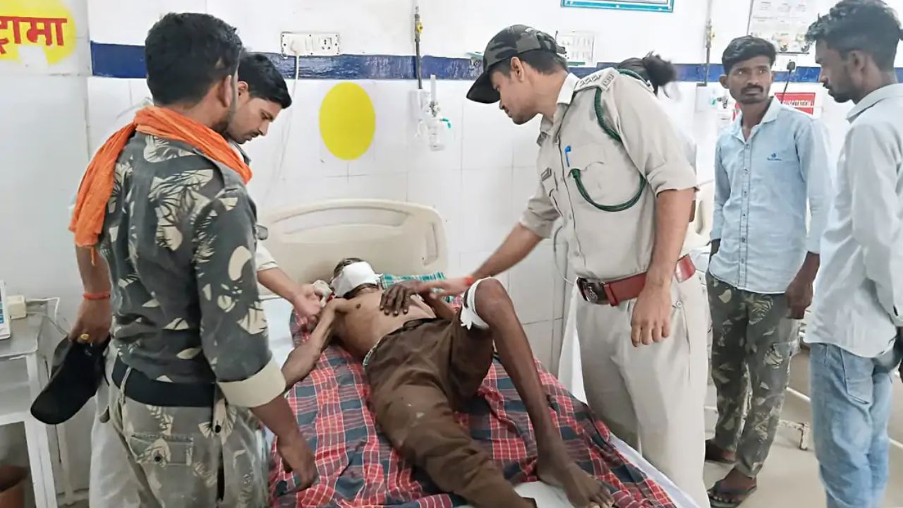 पन्ना में भैंस चराने जा रहे बुजुर्ग पर बाघ का हमला, वन विभाग ने हाथियों की मदद से शुरू की सर्चिंग