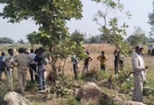 पन्ना में वन भूमि से कब्जा हटाने पर विवाद, ग्रामीणों और वन विभाग की टीम में झड़प, दो वनकर्मी समेत कई लोग घायल