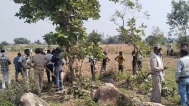 पन्ना में वन भूमि से कब्जा हटाने पर विवाद, ग्रामीणों और वन विभाग की टीम में झड़प, दो वनकर्मी समेत कई लोग घायल