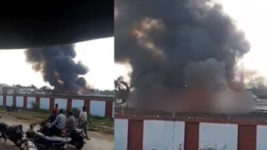 जबलपुर की पारले बिस्किट फैक्ट्री में भीषण आग, मची अफरा-तफरी, मौके पर पहुंची दमकल की 8 गाड़ियां