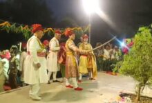 ग्वालियर में आज भी जीवित है शाही परंपरा, “महाराज” ज्योतिरादित्य सिंधिया के शमी के वृक्ष में तलवार लगाते पत्तियां लूटने दौड़े लोग
