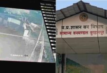 बुरहानपुर के मैरिज हॉल में घुसा तेंदुआ, रात का सीसीटीवी फुटेज सामने आते ही मचा हड़कंप