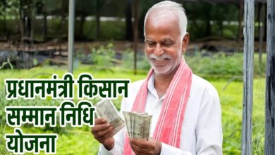 PM Kisan: आ गई डेट, 30 अक्टूबर को जारी होगी पीएम किसान योजना की 24वीं किस्त, खाते में आएंगे 2000-2000 रुपये