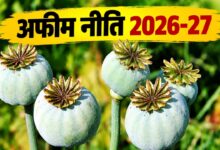 अफीम नीति 2026-27 जारी, मध्य प्रदेश और राजस्थान के किसानों का इंतजार खत्म, अब शुरू होगी बुवाई की तैयारी