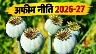 अफीम नीति 2026-27 जारी, मध्य प्रदेश और राजस्थान के किसानों का इंतजार खत्म, अब शुरू होगी बुवाई की तैयारी