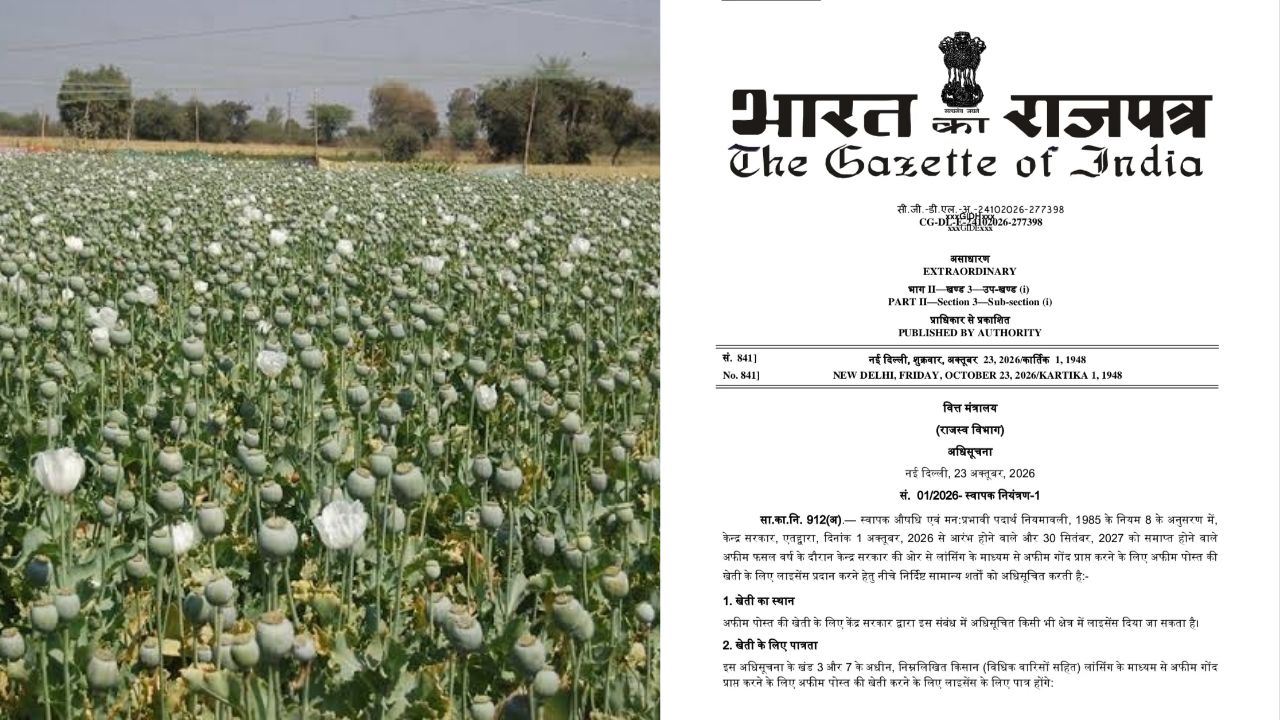 अफीम नीति 2026-27 जारी: दिवाली से पहले केंद्र सरकार का तोहफा, इस वर्ष बढ़ेंगे साढ़े 10 हजार नए किसान, अगले साल के लिए भी कड़े नियम तय