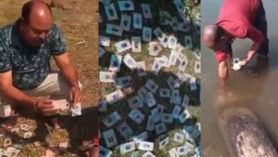 महेश्वर में नर्मदा घाट पर बड़ी संख्या में मिले वोटर ID कार्ड, कांग्रेस ने भाजपा और चुनाव आयोग को घेरा, उठाए सवाल महेश्वर में नर्मदा घाट पर बड़ी संख्या में मिले वोटर ID कार्ड, कांग्रेस ने भाजपा और चुनाव आयोग को घेरा, उठाए सवाल