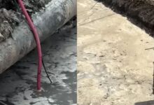 इंदौर में पाइपलाइन टूटने पर रहवासियों का विरोध, पानी की सप्लाई हुई ठप, रात 10 बजे मरम्मत करने पहुंचे मजदूर, रहवासियों ने रुकवाया काम