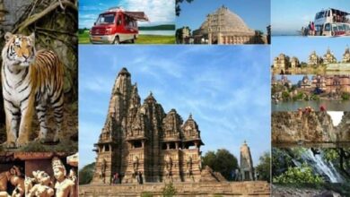 MP Foundation Day पर भोपाल में मुख्य समारोह, जिला स्तर पर भी कार्यक्रम, सांस्कृतिक प्रस्तुतियों से लेकर कृषि प्रदर्शनी, जानें और क्या होगा खास MP Foundation Day पर भोपाल में मुख्य समारोह, जिला स्तर पर भी कार्यक्रम, सांस्कृतिक प्रस्तुतियों से लेकर कृषि प्रदर्शनी, जानें और क्या होगा खास