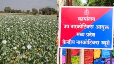 अफीम किसानों के लिए शुरू हुई ‘सेतु हेल्पलाइन’, व्हाट्सएप और क्यूआर कोड से सीधे दर्ज होगी शिकायत, 3 दिन में होगा समाधान