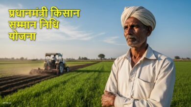 9.34 करोड़ किसानों को आज मिलेगी सौगात, जारी होगी पीएम किसान सम्मान निधि योजना की 24वीं किस्त, खाते में आएंगे 2000-2000 रु