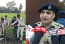 धार में नशे के खिलाफ पुलिस का बड़ा एक्शन, तीन अलग-अलग स्थानों से 1105 किलो गांजा बरामद, दो आरोपी गिरफ्तार