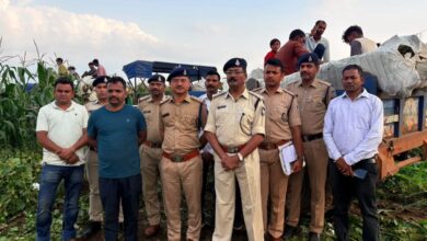 धार में मक्का-कपास के खेतों में उगा रहे थे गांजा, पुलिस ने जब्त की 25 करोड़ की फसल, चार आरोपी गिरफ्तार धार में मक्का-कपास के खेतों में उगा रहे थे गांजा, पुलिस ने जब्त की 25 करोड़ की फसल, चार आरोपी गिरफ्तार